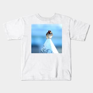 Welcome Swallow Kids T-Shirt